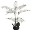 Planta Artificial | OZAIA Planta Artificial Orquidea Com Vaso Em Cimento A.65 X L.54 Cm Branco - Tara