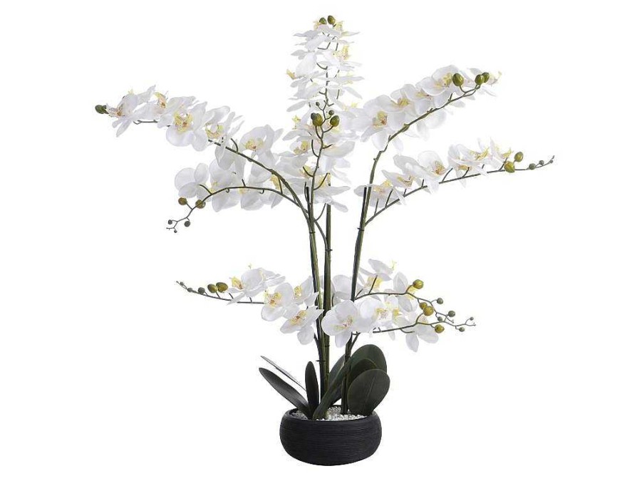 Planta Artificial | OZAIA Planta Artificial Orquidea Com Vaso Em Cimento A.65 X L.54 Cm Branco - Tara