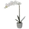 Planta Artificial | OZAIA Planta Artificial Orquidea Com Vaso Em Cimento A.60 Branco - Flora