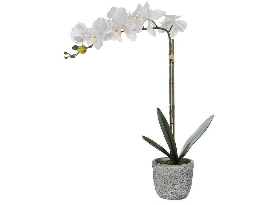 Planta Artificial | OZAIA Planta Artificial Orquidea Com Vaso Em Cimento A.60 Branco - Flora