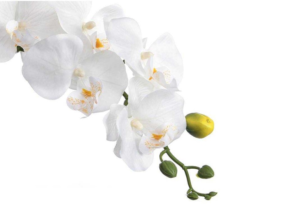 Planta Artificial | OZAIA Planta Artificial Orquidea Com Vaso Em Cimento A.60 Branco - Flora