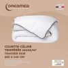 Edredao | DREAMEA Edredao Caline Toque Seda 220 X 240 Cm 250 G/M Branco Vies Cinza - Biesya